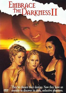 拥抱黑暗2封面图