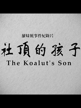 社顶的孩子封面图