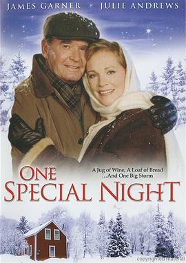 风雪黄昏恋封面图