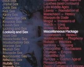 欲窥则窥封面图