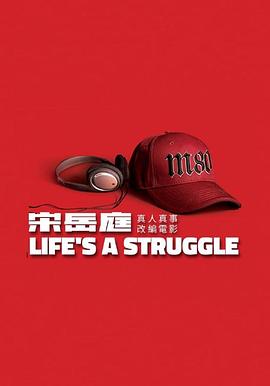 宋岳庭传封面图