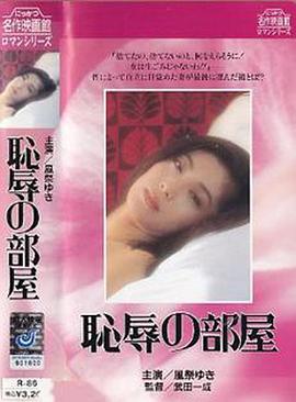 耻辱的房间封面图