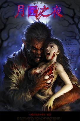 月圆之夜封面图