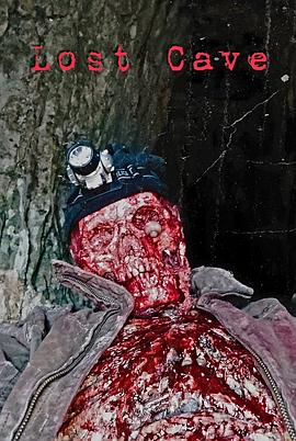 Lost Cave封面图