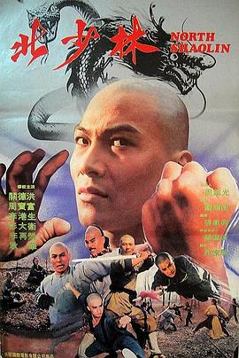 北少林封面图