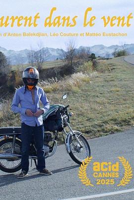 风中的洛朗封面图