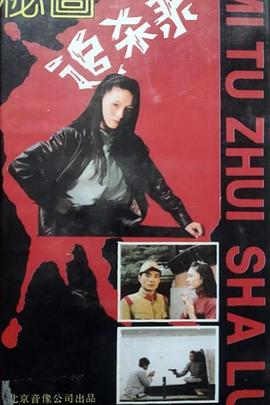 秘图追杀录封面图