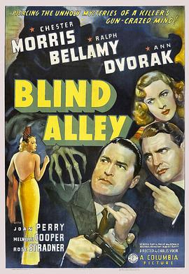 黑巷血影封面图