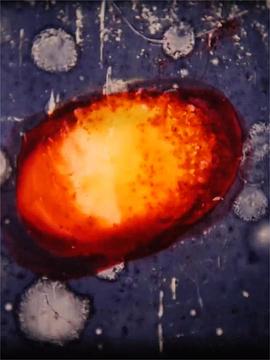 Great balls of fire封面图