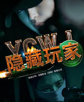 隐藏玩家封面图