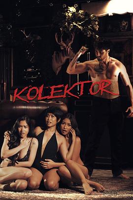 Kolektor封面图
