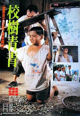 校树青青封面图