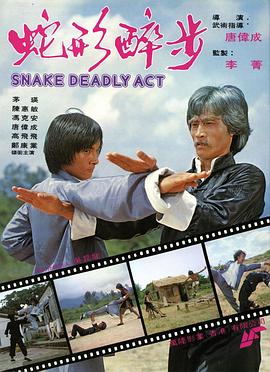 蛇形醉步封面图