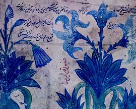 达莉亚的夜花档案封面图