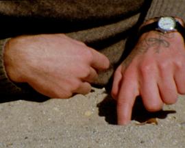 회전 시그널封面图