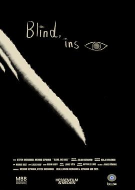 致盲，瞄准眼睛封面图