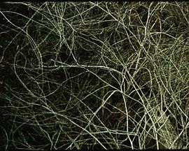 山水画卷封面图