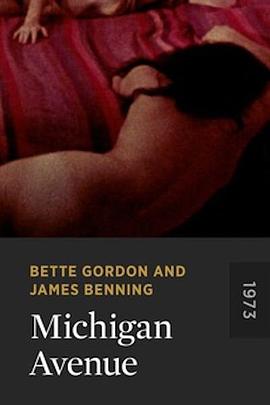 密歇根大道封面图