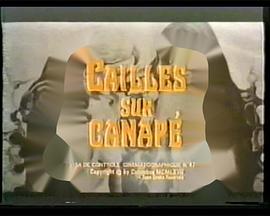 情浓沙发上封面图