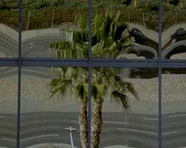 末日棕榈封面图