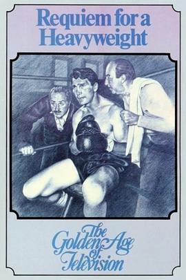 拳台血泪封面图