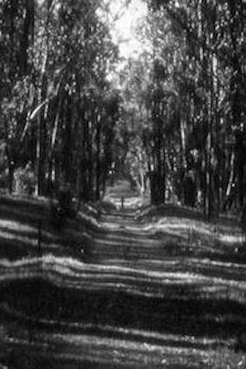 Bagatelle I封面图