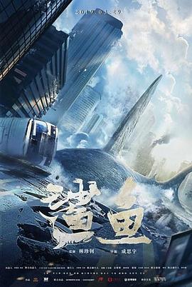 鲨鱼封面图