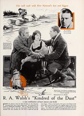 尘埃之缘封面图