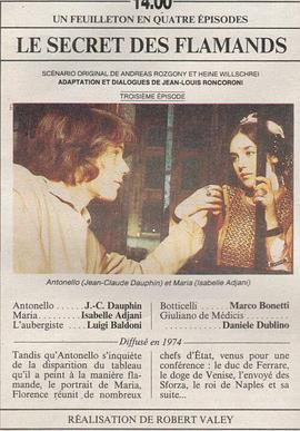 弗莱芒的秘密封面图