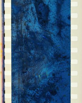 百万虫鸣，千星辉封面图