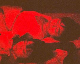 ＧＡＲＮＥＴ封面图