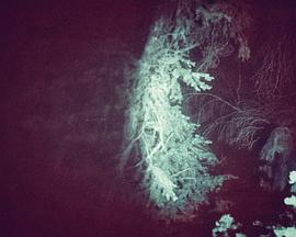 迷失内华达4封面图