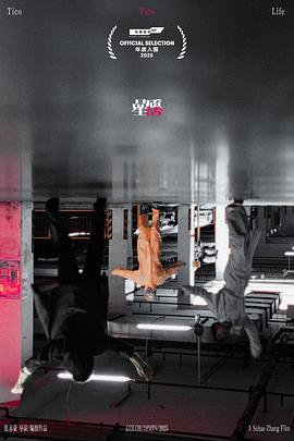 品质生活封面图