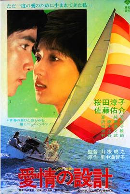 爱情蓝图封面图