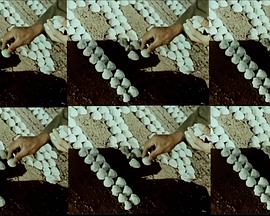 致T: 我们在核中联结封面图