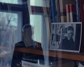 如果我坠落，请不要将我拾起封面图