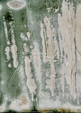 万物未名封面图