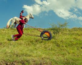 祖先的未来愿景封面图