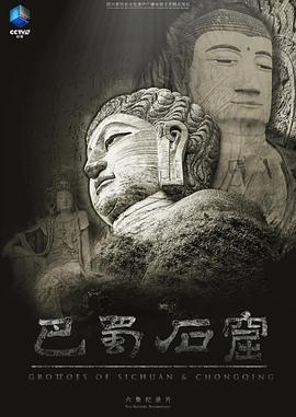 巴蜀石窟封面图
