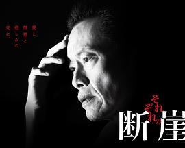 各自的断崖封面图