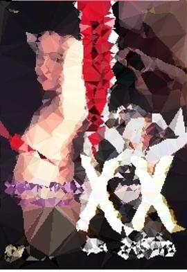 XX 美丽的目标封面图