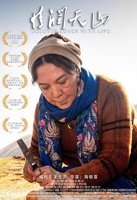 情润天山封面图