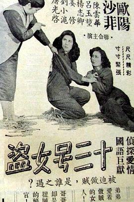 十三号女盗封面图