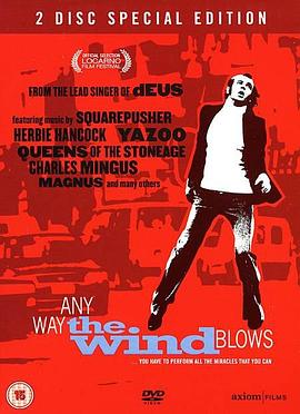 吹风的日子封面图