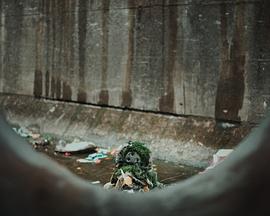 河裡的孩子子子子子封面图