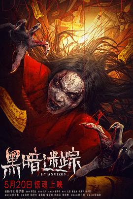 黑暗迷踪封面图