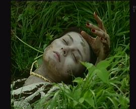 摄影师樱井美由纪2封面图