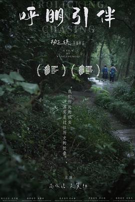 呼朋引伴封面图