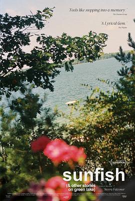 太阳鱼（关于绿湖的其他故事）封面图