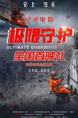 极限守护封面图